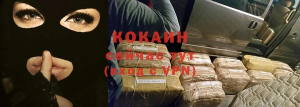 дживик Богородицк