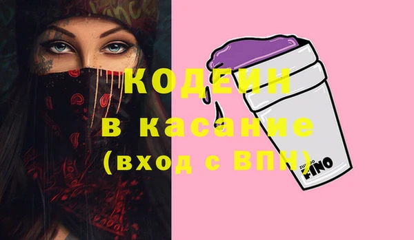 крисы Покачи