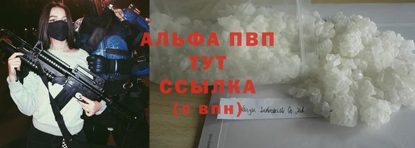 дживик Богородицк