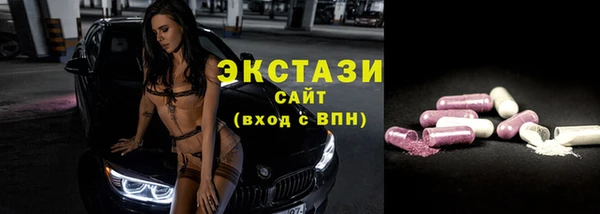 дживик Богородицк