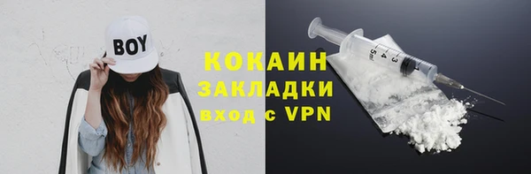 крисы Покачи