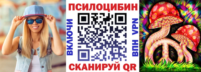 Псилоцибиновые грибы Psilocybe  наркота  Тверь 
